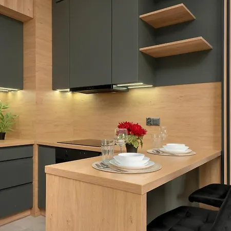 Przestronne Apartamenty Z Parkingiem Lodz Telefoniczna 21 By Heyrent Apartment Lodz